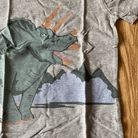 Carters Dinosaur Triceratops Tee Gray 24 Months - Picture 4 of 6